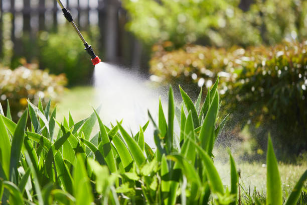 24/7 Emergency Mosquito Control experts in DeWitt, IA