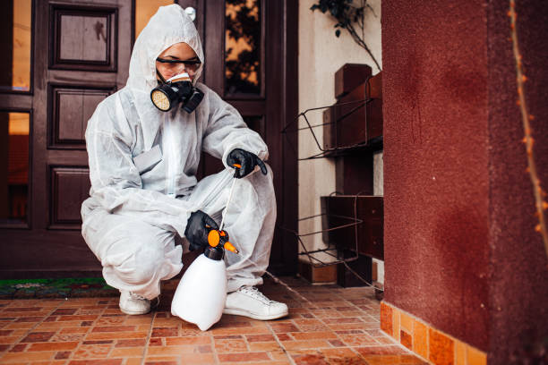 Reliable Mosquito Control contractor in DeWitt, IA by Show Me Pest Control